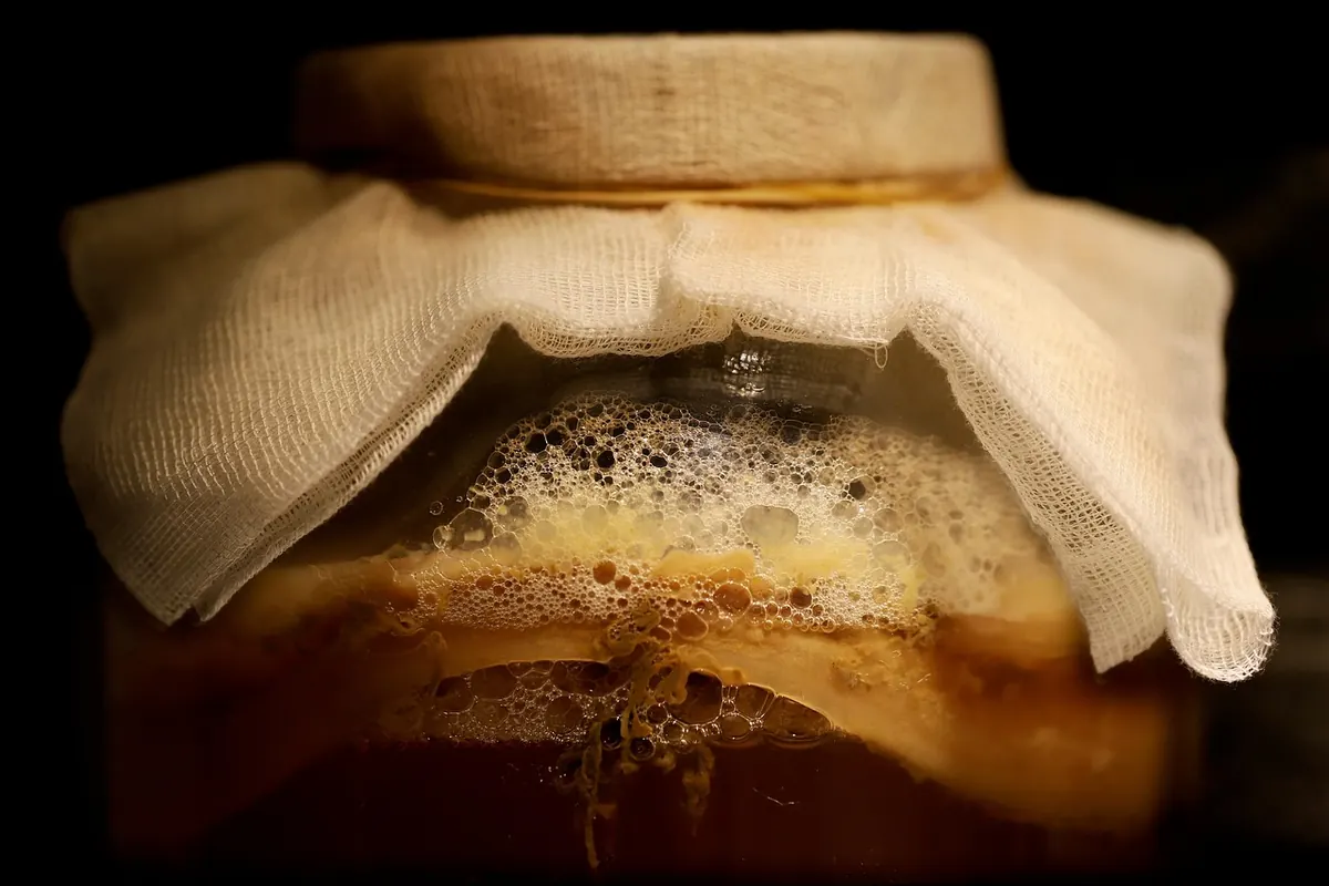 Beginner's Guide to Fermented Foods for Gut Health: Sauerkraut, Kefir and Kimchi