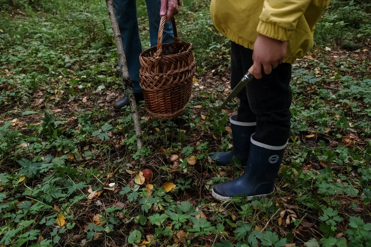 Checklist: Safely Foraging Common UK Herbs for Home Remedies