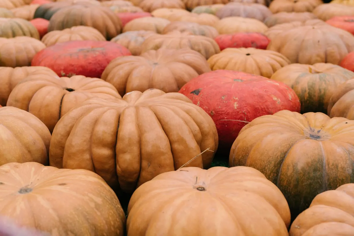 Seasonal UK Superfoods: What to Eat in Autumn for Immune Support